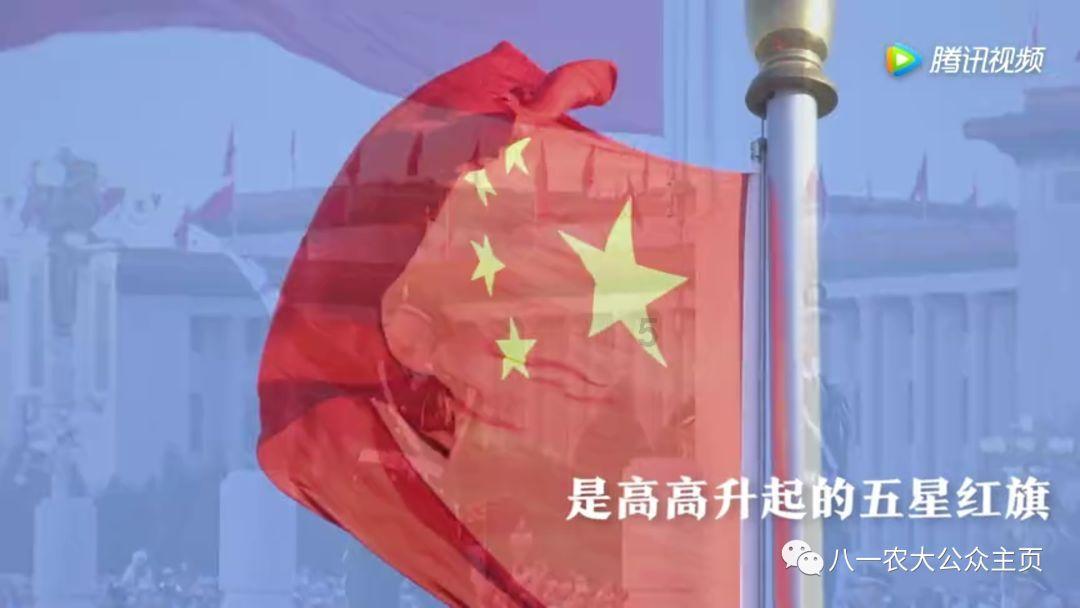 申城街头已年味正浓 普陀区新年街景布置完成